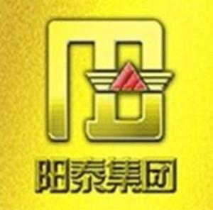 陽(yáng)城縣陽(yáng)泰集團(tuán)實(shí)業(yè)