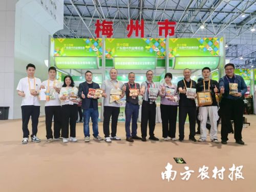 智創(chuàng)未來(lái)，AI賦能 蕉嶺毛竹品牌煥新，實(shí)業(yè)公司引領(lǐng)產(chǎn)業(yè)升級(jí)